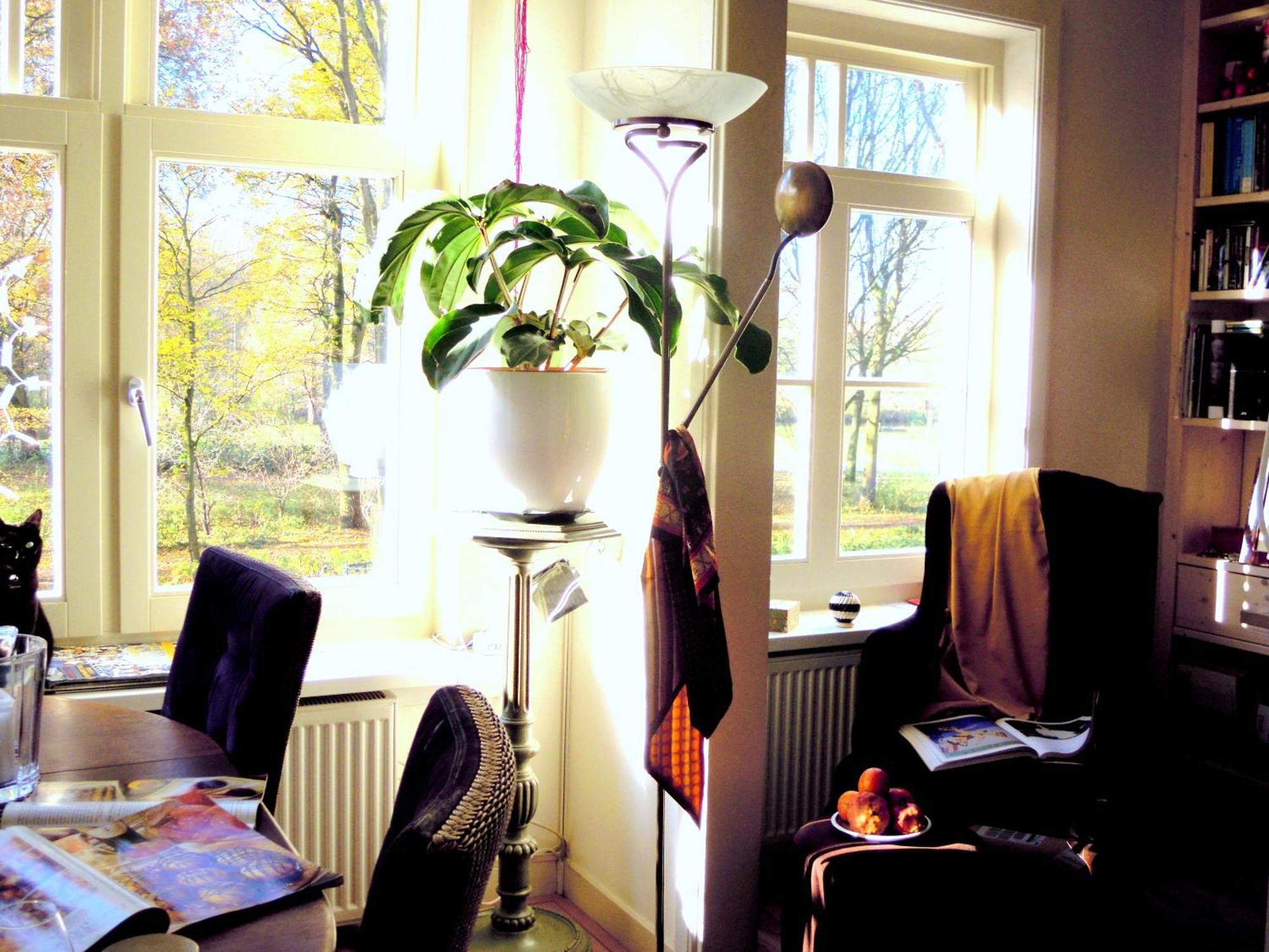 MissOrtelia B&B Amsterdam Exterior foto